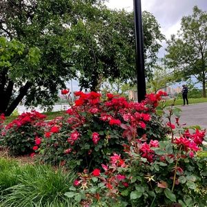 Meet your Posher, Ayushe